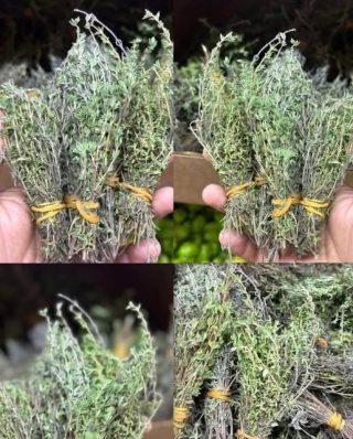 Najpotężniejsze zioło 😱😱..zobacz więcej…