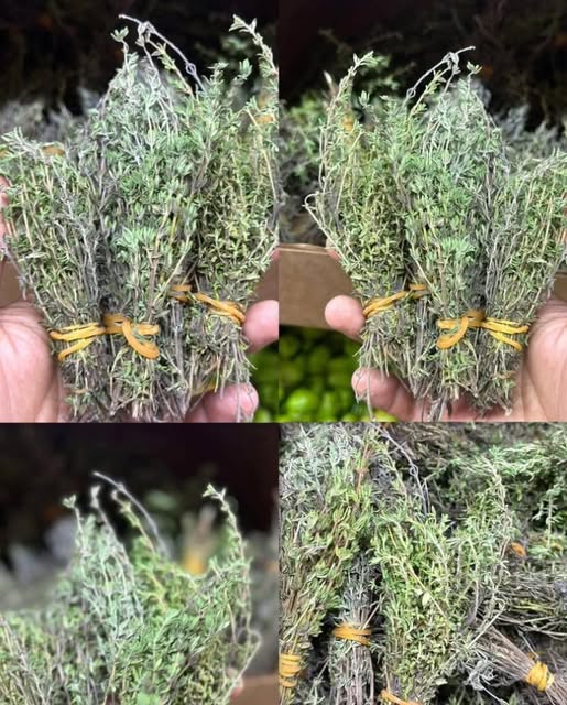 Najpotężniejsze zioło 😱😱..zobacz więcej…