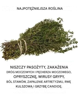 Należy do najpotężniejszych roślin na świecie.