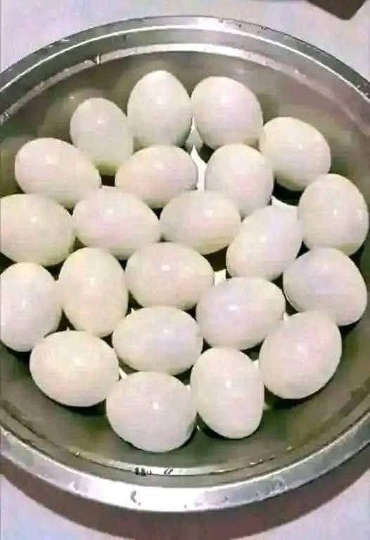 Przetestuj della Vista!! Skontaktuj się z nami